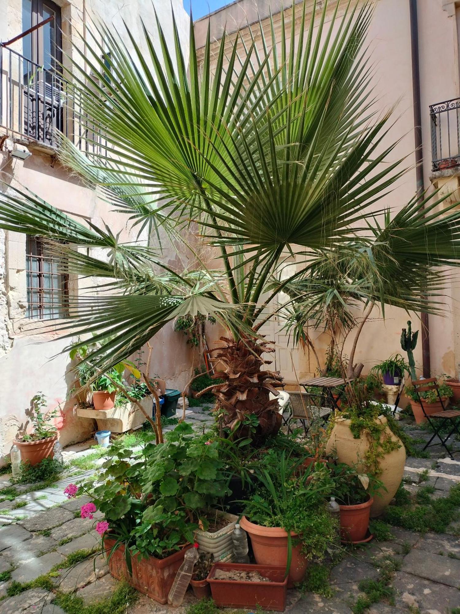 Apartamento Casa La Palma Di Ortigia Syracuse Exterior foto